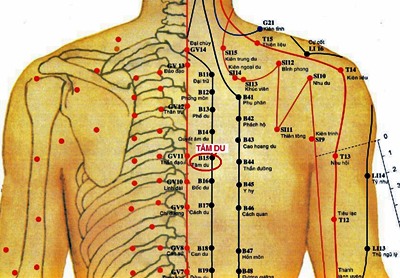 Huyệt Tâm Du - Y CỔ TRUYỀN