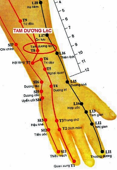Huyệt Tam Dương Lạc - Y CỔ TRUYỀN