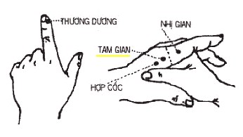 Huyệt Tam Gian - Y CỔ TRUYỀN