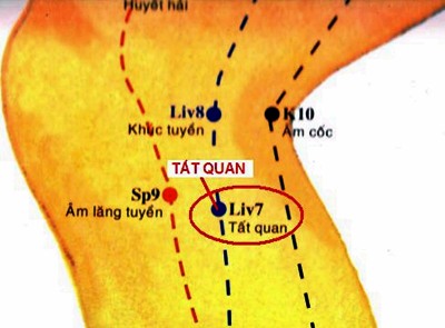 Huyệt Tất Quan - Y CỔ TRUYỀN