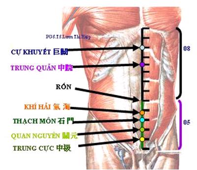 Huyệt Thạch Môn - Y CỔ TRUYỀN