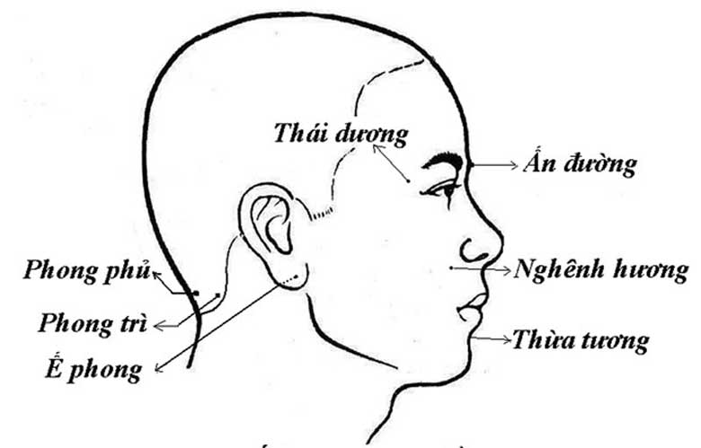 Huyệt Thái Dương - Y CỔ TRUYỀN