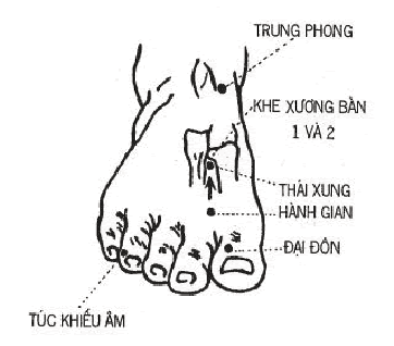 Huyệt Thái Xung - Y CỔ TRUYỀN