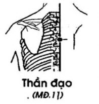 Huyệt Thần Đạo - Y CỔ TRUYỀN