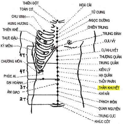Huyệt Thần Khuyết - Y CỔ TRUYỀN