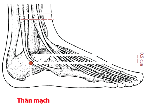 Huyệt Thân Mạch - Y CỔ TRUYỀN