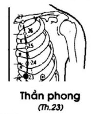 Huyệt Thần Phong - Y CỔ TRUYỀN
