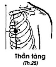 Huyệt Thần Tàng - Y CỔ TRUYỀN