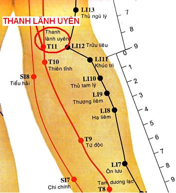Huyệt Thanh Lãnh Uyên - Y CỔ TRUYỀN
