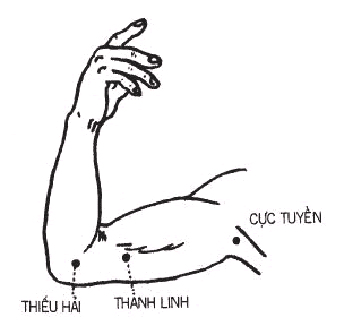 Huyệt Thanh Linh - Y CỔ TRUYỀN