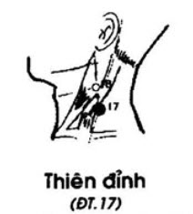 Huyệt Thiên Đỉnh - Y CỔ TRUYỀN