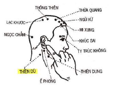 Huyệt Thiên Dũ - Y CỔ TRUYỀN -
