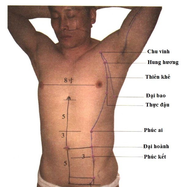 Huyệt Thiên Khê - Y CỔ TRUYỀN