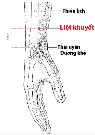 Huyệt Thiên Lịch - Y CỔ TRUYỀN