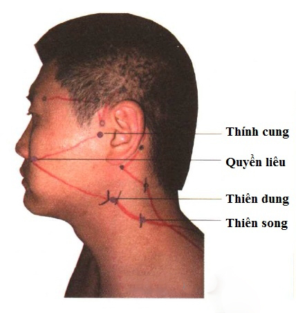 Huyệt Thiên Song - Y CỔ TRUYỀN