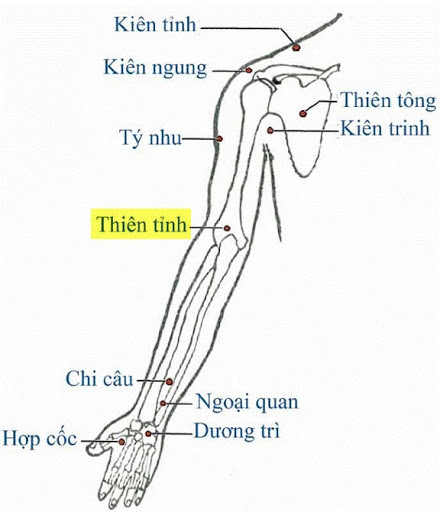 Huyệt Thiên Tỉnh - Y CỔ TRUYỀN