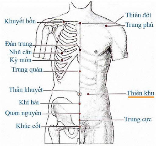 Huyệt Thiên Xu - Y CỔ TRUYỀN