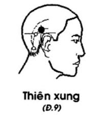 Huyệt Thiên Xung - Y CỔ TRUYỀN