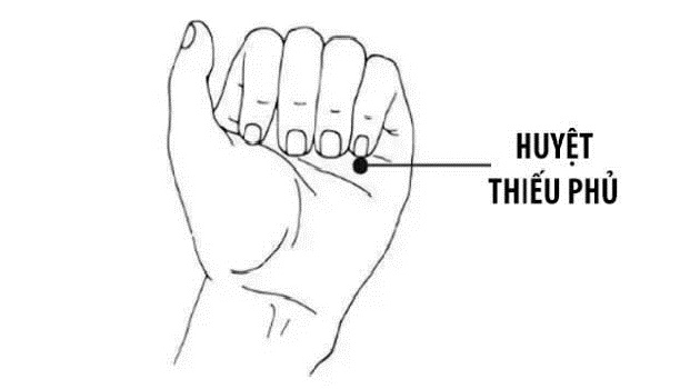 Huyệt Thiếu Phủ - Y CỔ TRUYỀN