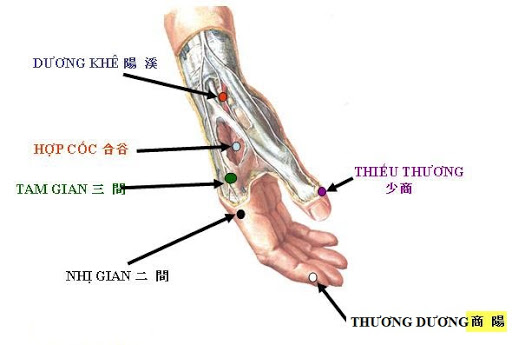 Huyệt Thiếu Thương - Y CỔ TRUYỀN