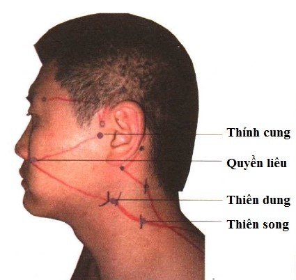 Huyệt Thính Cung - Y CỔ TRUYỀN -