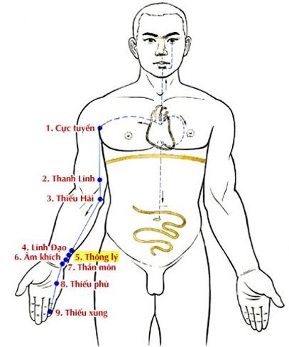 Huyệt Thông Lý - Y CỔ TRUYỀN