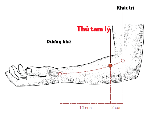 Huyệt Thủ Tam Lý - Y CỔ TRUYỀN