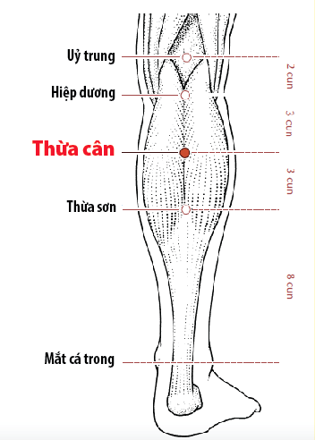 Huyệt Thừa Sơn - Y CỔ TRUYỀN