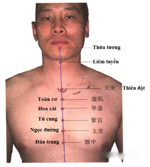 Huyệt Thừa Tương - Y CỔ TRUYỀN
