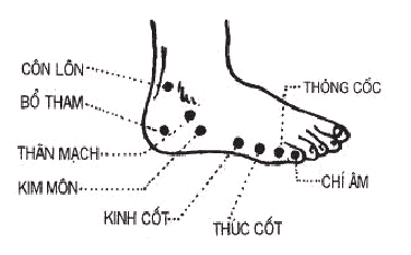 Huyệt Thúc Cốt - Y CỔ TRUYỀN