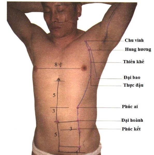 Huyệt Thực Đậu - Y CỔ TRUYỀN