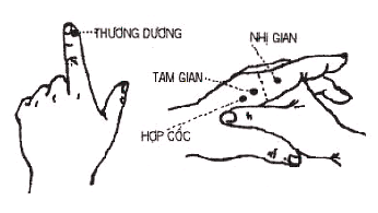 Huyệt Thương Dương - Y CỔ TRUYỀN