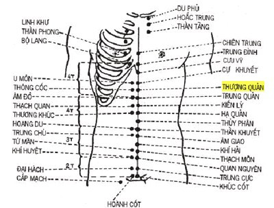 Huyệt Thượng Quản - Y CỔ TRUYỀN