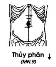 Huyệt Thủy Phân - Y CỔ TRUYỀN