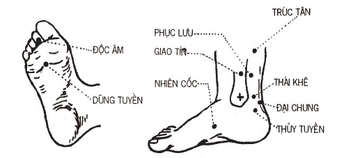 Huyệt Thủy Tuyền - Y CỔ TRUYỀN