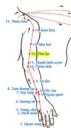 Huyệt Tiêu Lạc - Y CỔ TRUYỀN