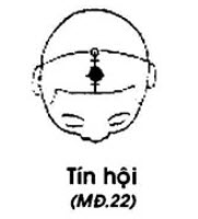 Huyệt Tín Hội - Y CỔ TRUYỀN