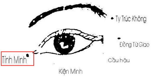 Huyệt Tình Minh - Y CỔ TRUYỀN
