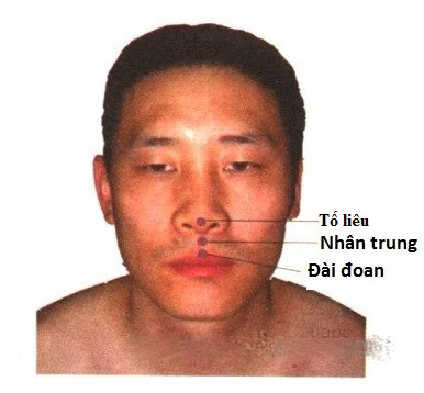 Huyệt Tố Liêu - Y CỔ TRUYỀN