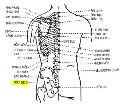 Huyệt Trật Biên - Y CỔ TRUYỀN