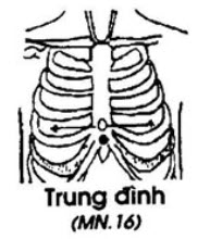 Huyệt Trung Đình - Y CỔ TRUYỀN
