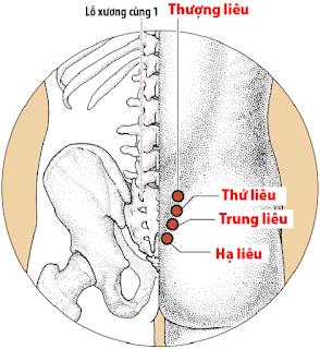 Huyệt Trung Liêu - Y CỔ TRUYỀN