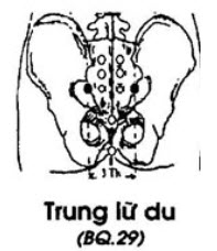Huyệt Trung Lữ Du - Y CỔ TRUYỀN