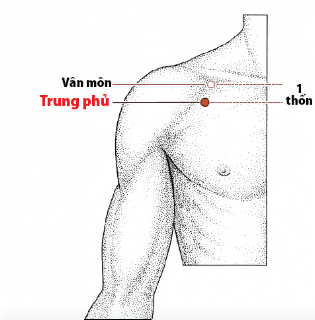Huyệt Trung Phủ - Y CỔ TRUYỀN