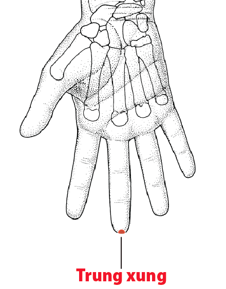 Huyệt Trung Xung - Y CỔ TRUYỀN