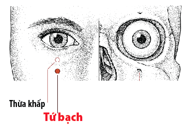 Huyệt Tứ Bạch - Y CỔ TRUYỀN