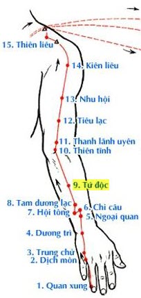 Huyệt Tứ Độc - Y CỔ TRUYỀN