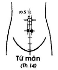 Huyệt Tứ Mãn - Y CỔ TRUYỀN