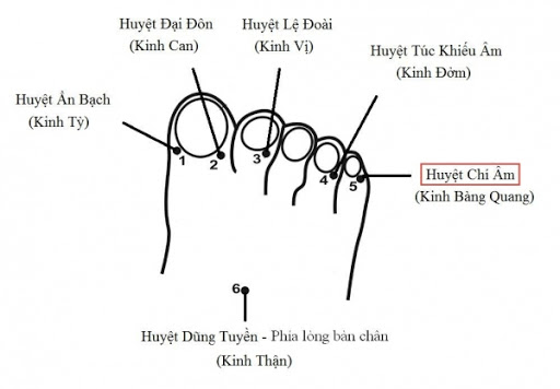 Huyệt Túc Khiếu Âm - Y CỔ TRUYỀN