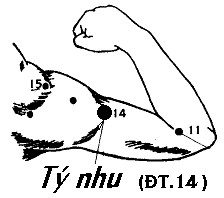 Huyệt Tý Nhu - Y CỔ TRUYỀN